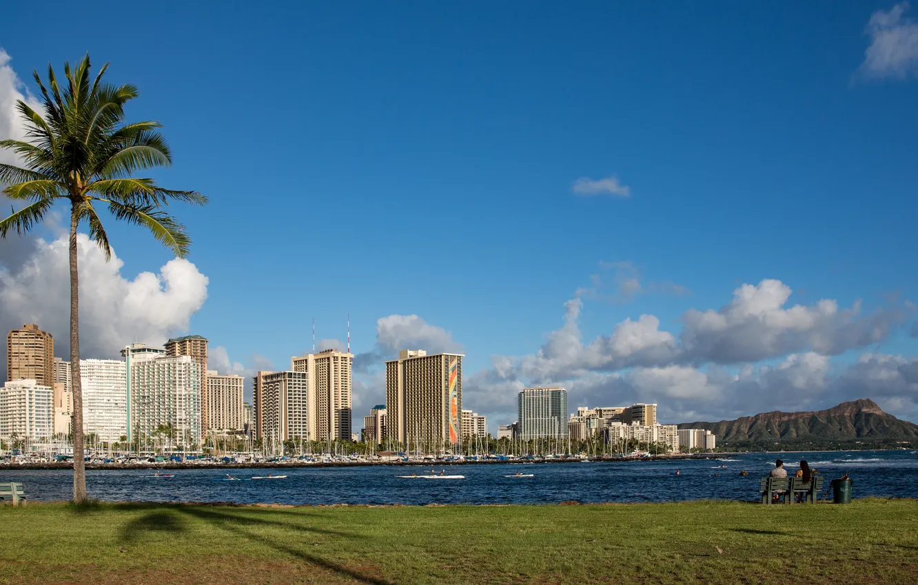 Photo wallpaper sea, the sky, clouds, mountains, bench, palm trees, lawn, coast