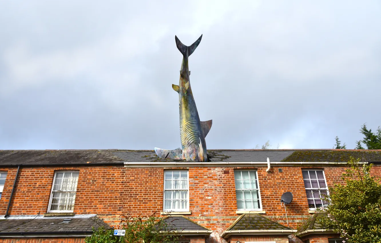 Photo wallpaper creative, the sky, shark, building