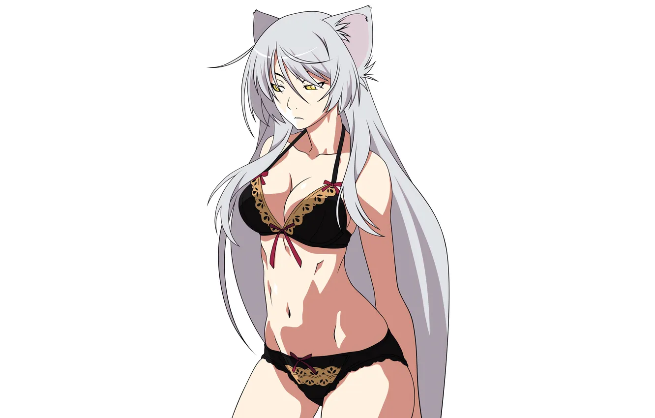 Photo wallpaper girl, sexy, lingerie, bra, cleavage, panties, long hair, boobs