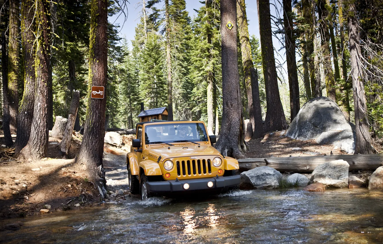 Photo wallpaper forest, SUV, Jeep