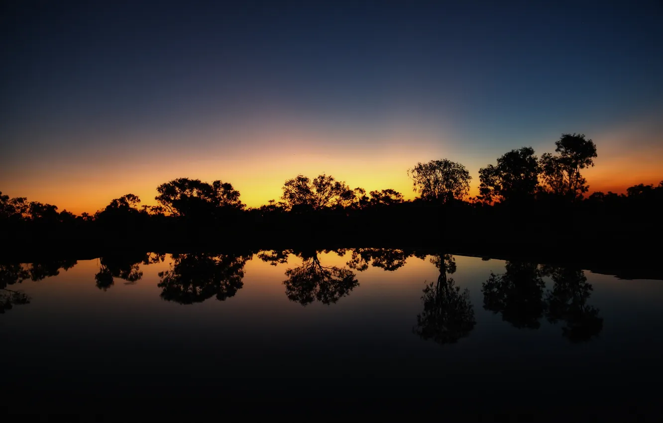 Photo wallpaper trees, lake, silhouette, twilight, the shore of the lake
