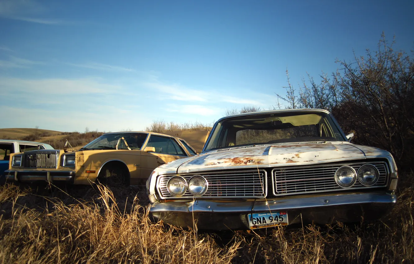 Photo wallpaper grass, glass, trees, lights, old, the hood, grille, dump