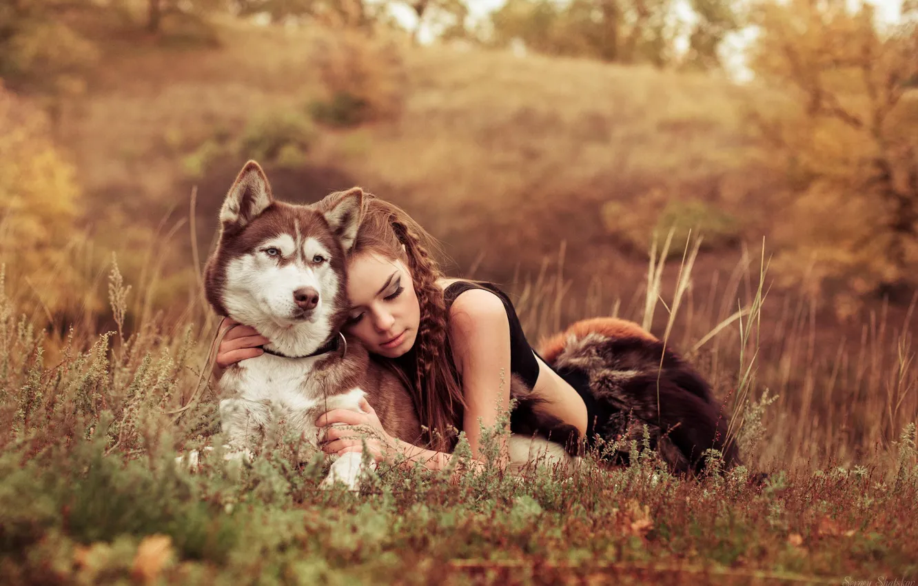 Photo wallpaper field, girl, nature, each, dog