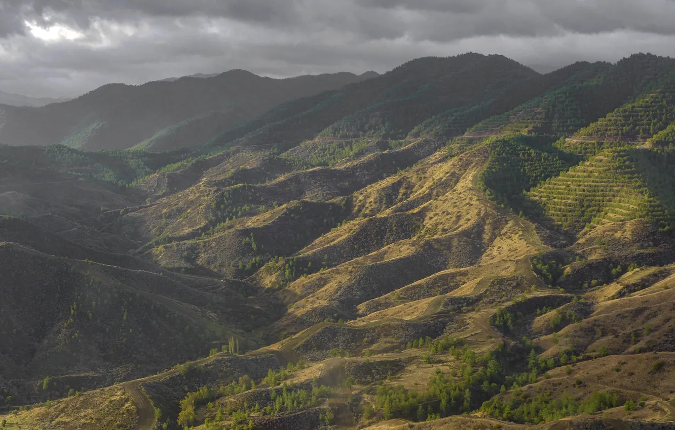 Photo wallpaper forest, mountains, clouds, nature