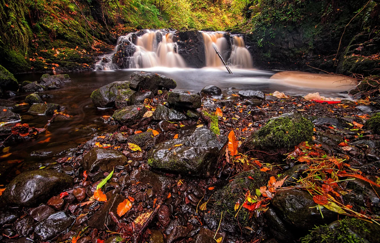 Photo wallpaper autumn, forest, leaves, waterfall, stream