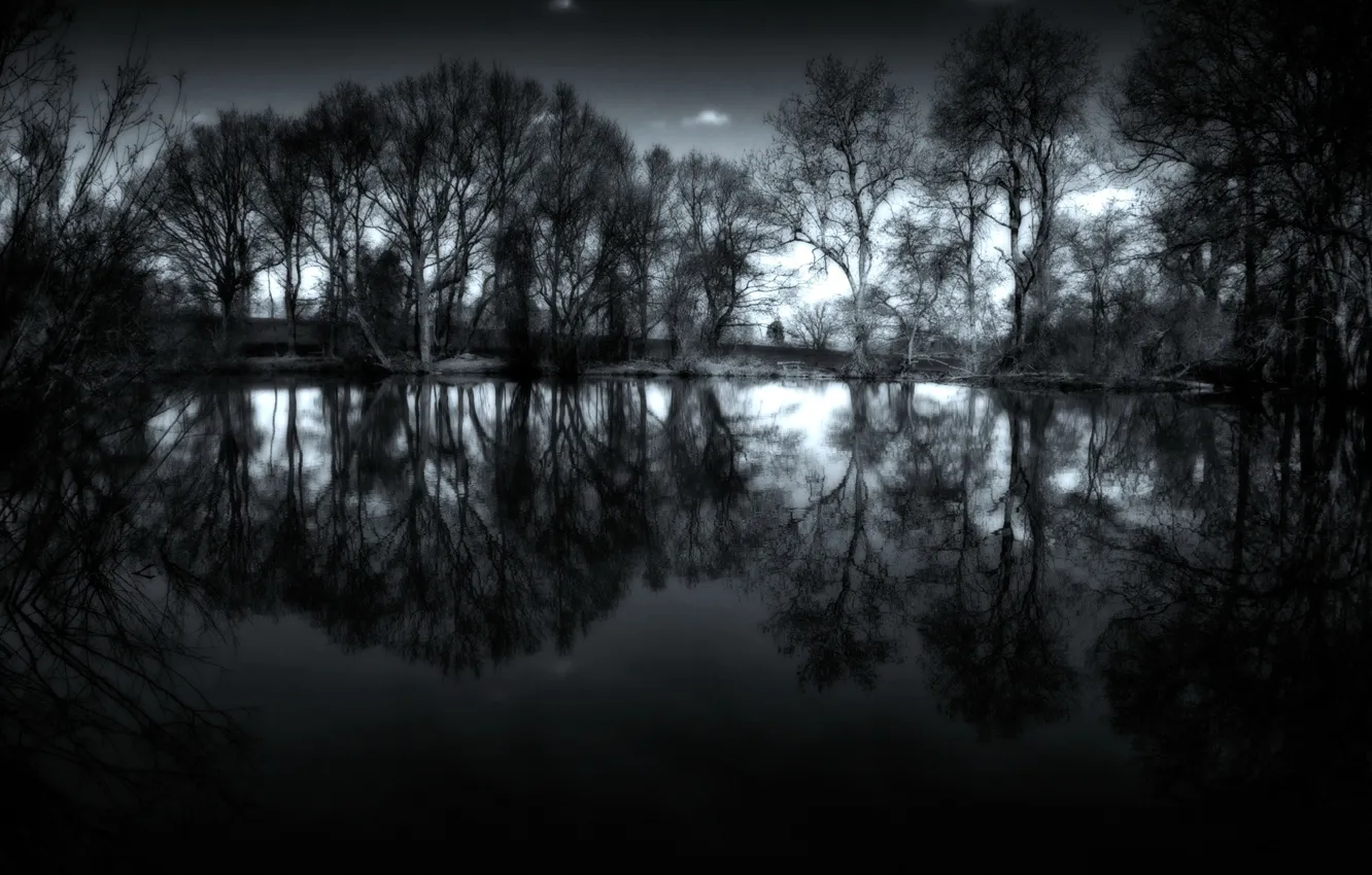 Photo wallpaper water, trees, night, photo, landscapes