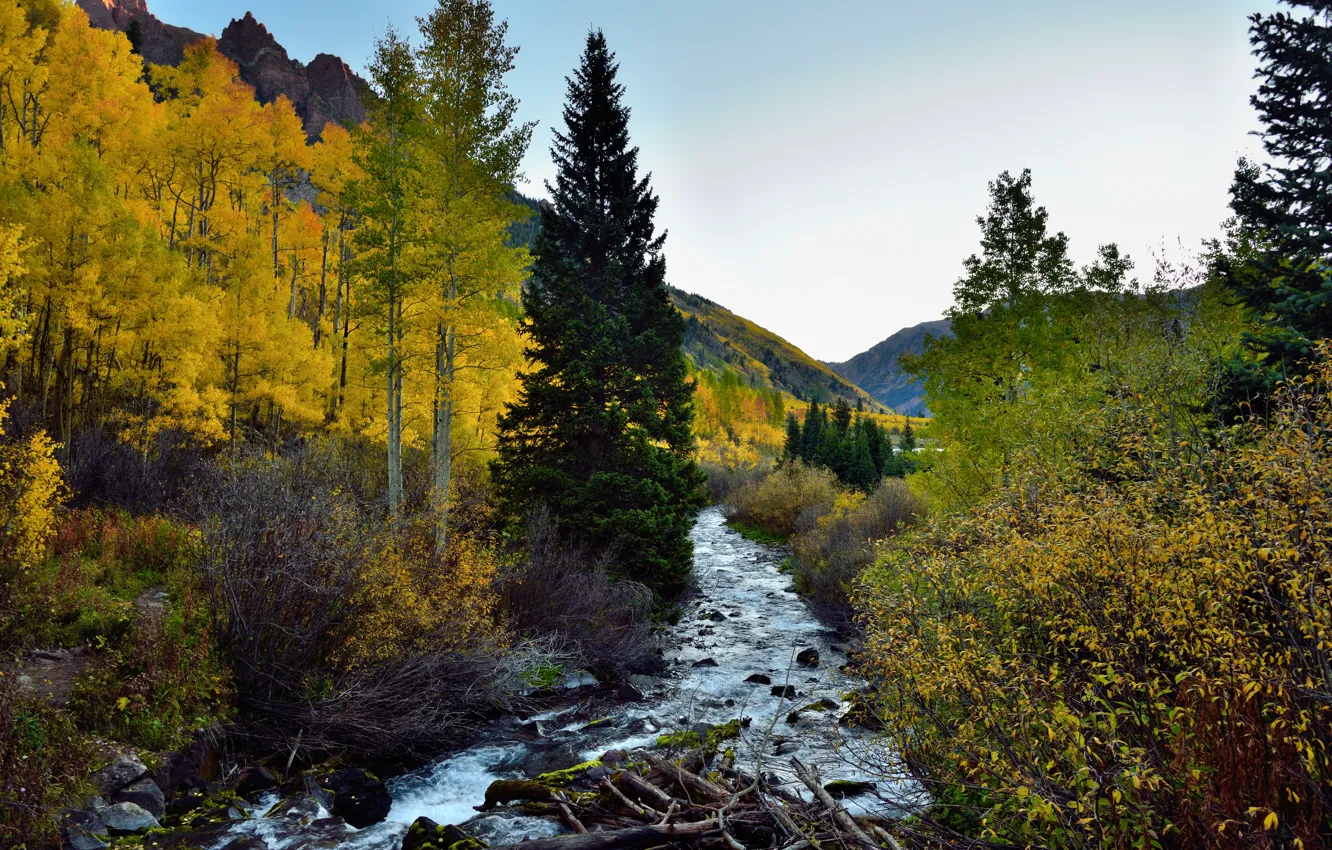 Photo wallpaper forest, mountains, nature, river, log