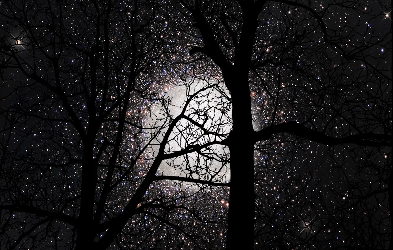 Photo wallpaper moon, night, sun set, silhouettes