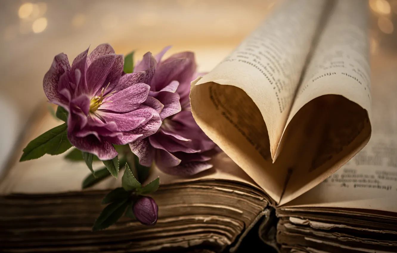 Photo wallpaper flowers, heart, book, pink, page, composition