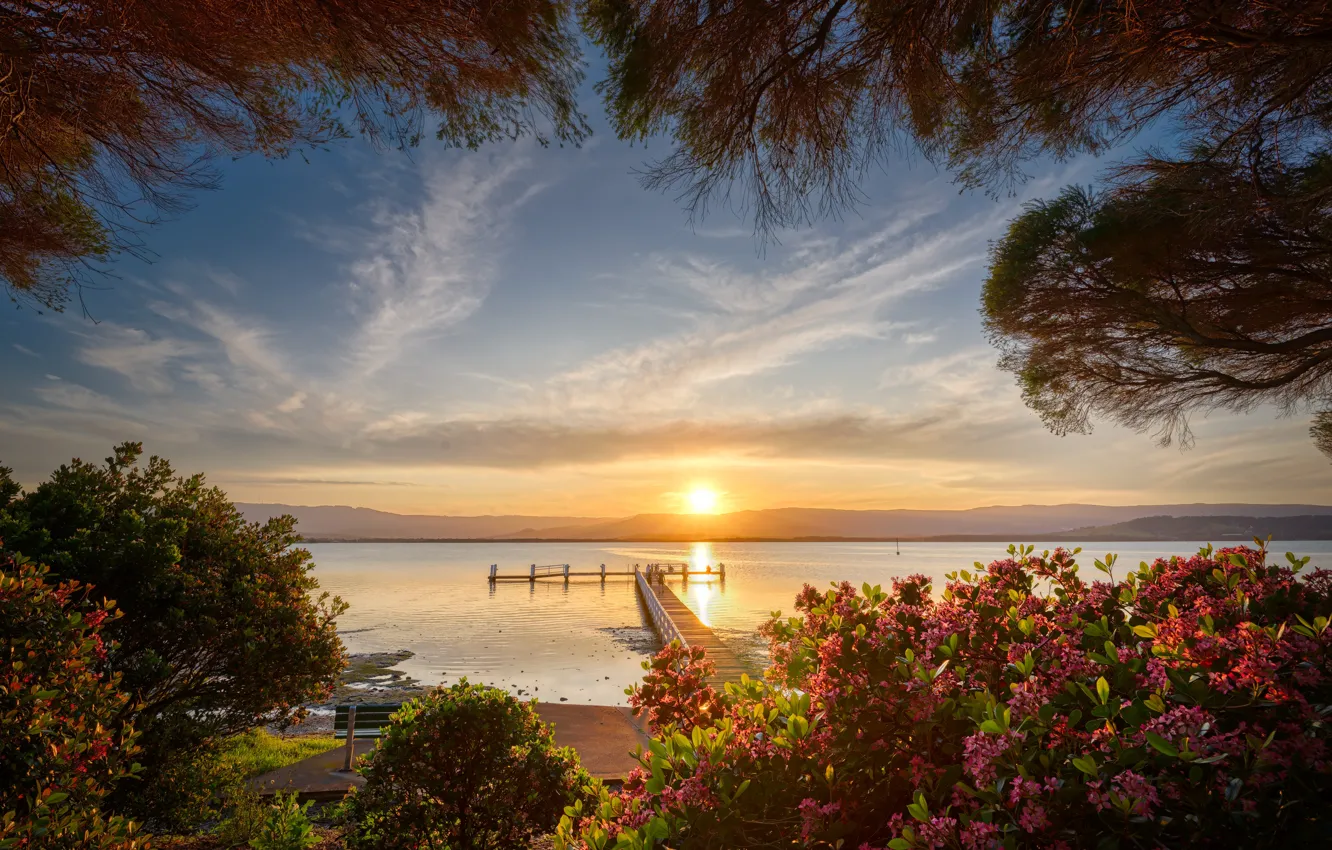 Photo wallpaper the sun, flowers, branches, shore, view, morning, pierce, the bushes