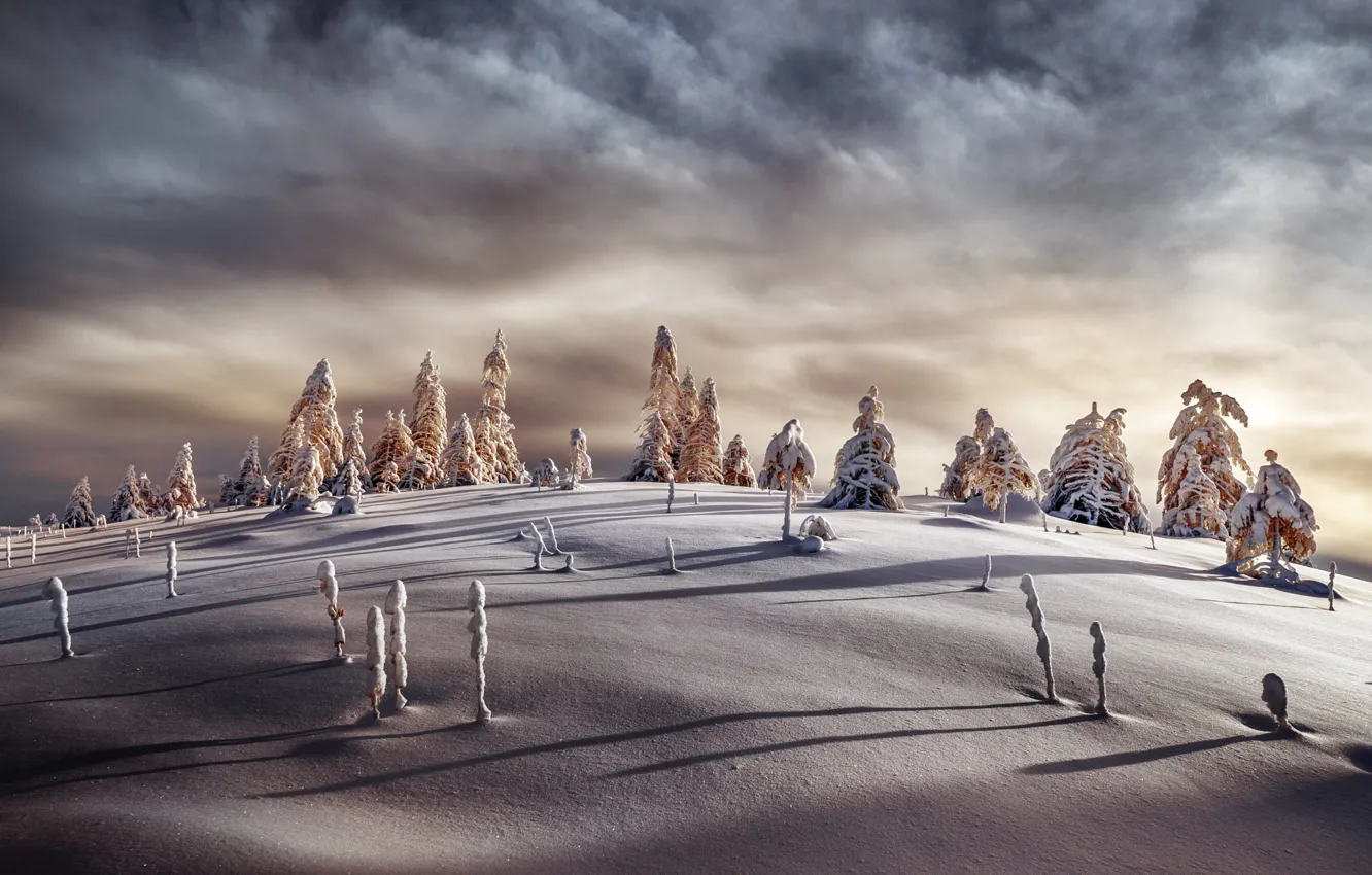 Photo wallpaper winter, forest, the sky, clouds, light, snow, strip, in the snow