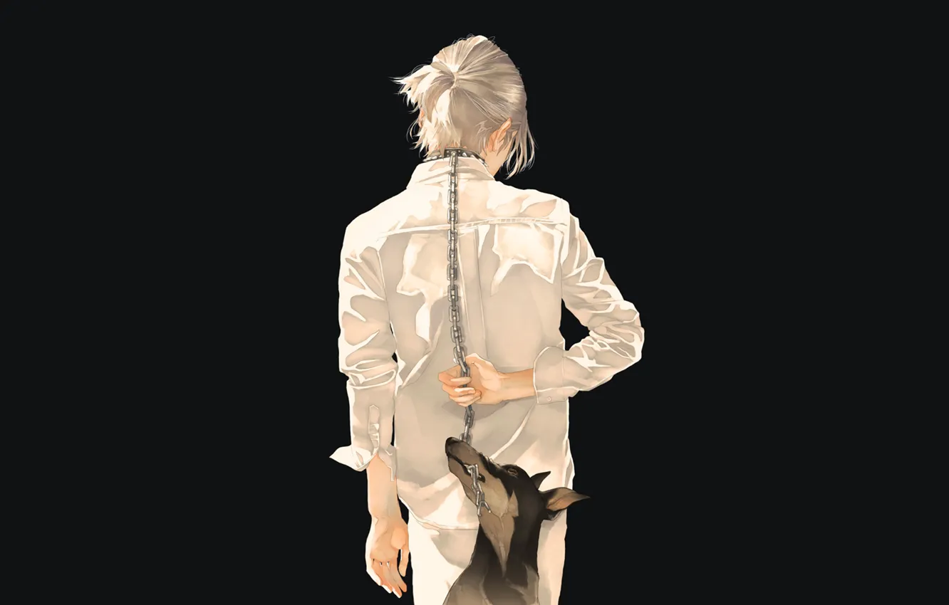 Photo wallpaper dog, chain, guy, art, Doberman