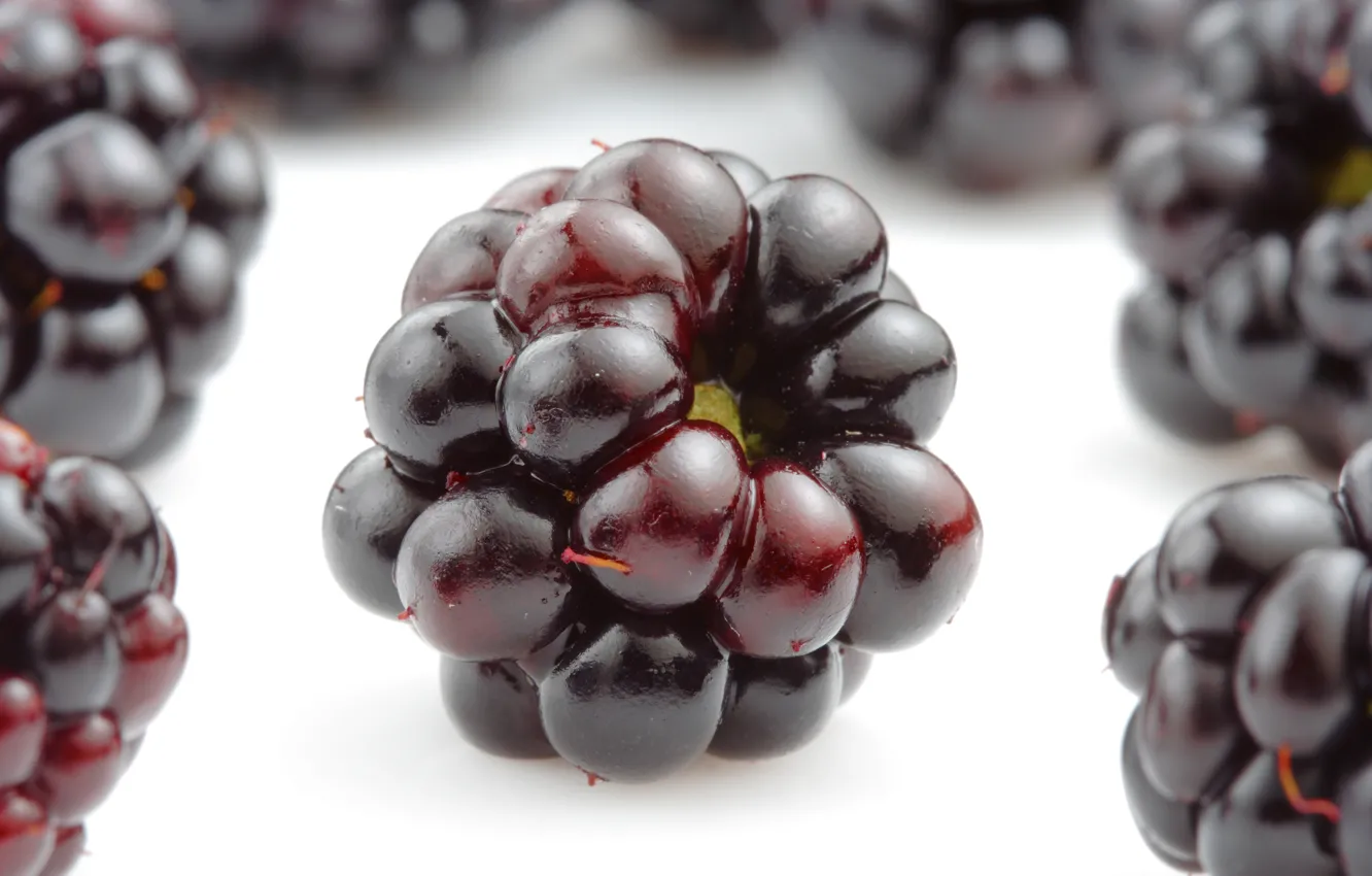 Photo wallpaper berries, BlackBerry, appetizing, blackberries