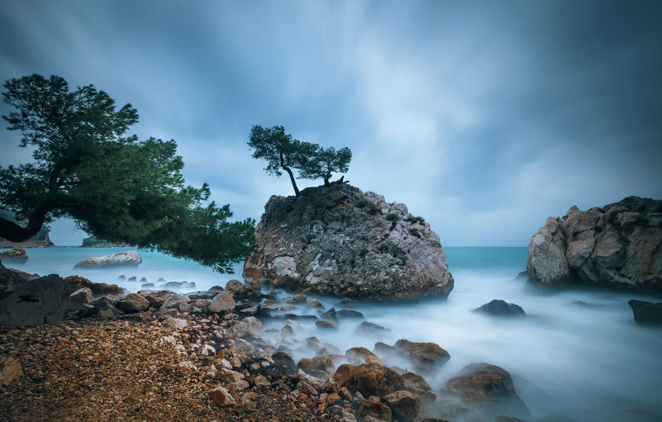 Photo wallpaper sea, beach, trees, stones, rocks