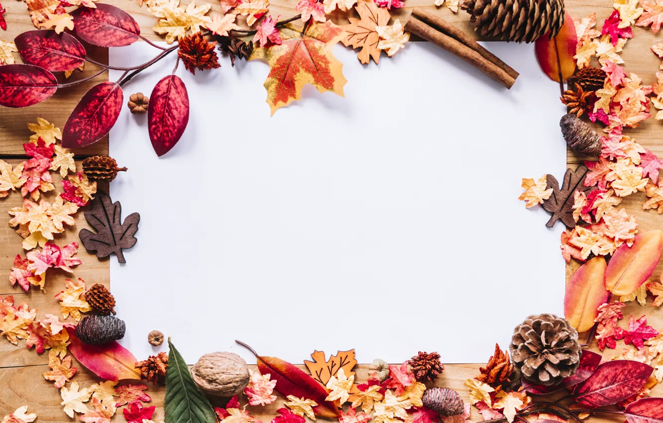 Photo wallpaper autumn, leaves, trees, background, colorful, nuts, bumps, wood