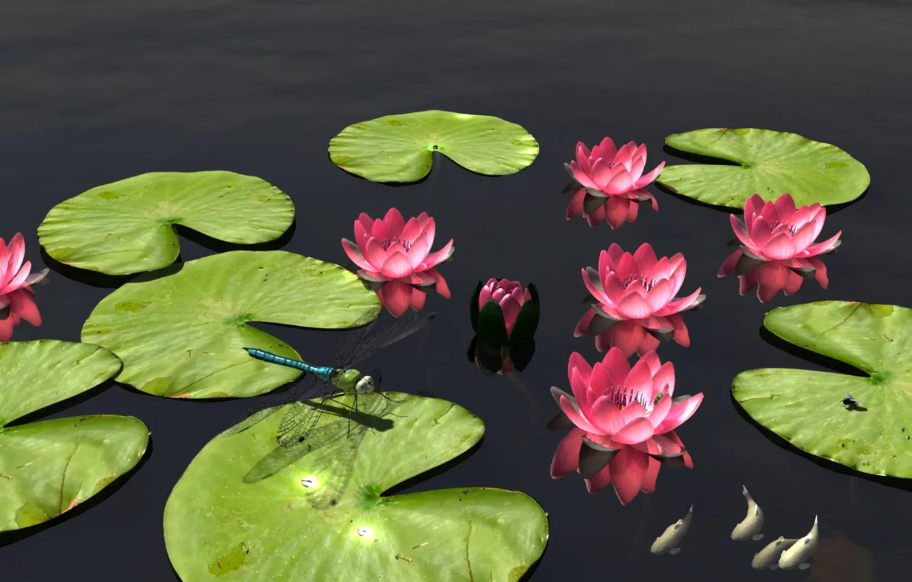 Photo wallpaper leaves, fish, flowers, nature, pond, dragonfly