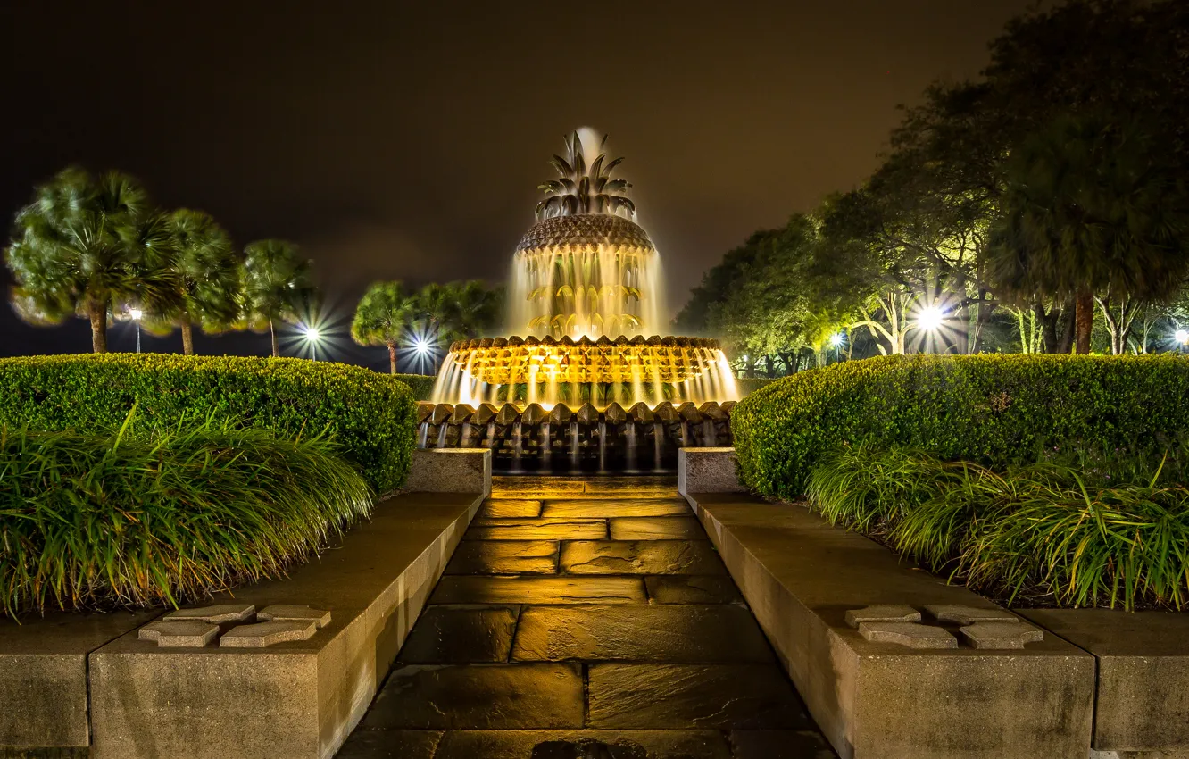 Photo wallpaper night, design, lights, palm trees, lights, fountain, USA, the bushes
