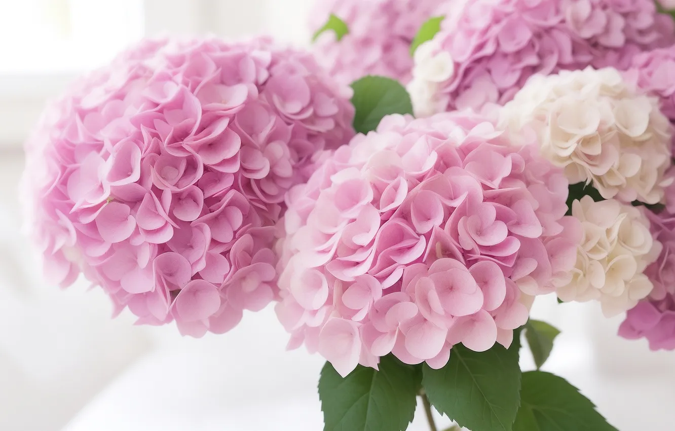 Photo wallpaper flowers, green, green, tenderness, figure, colored, plant, beauty