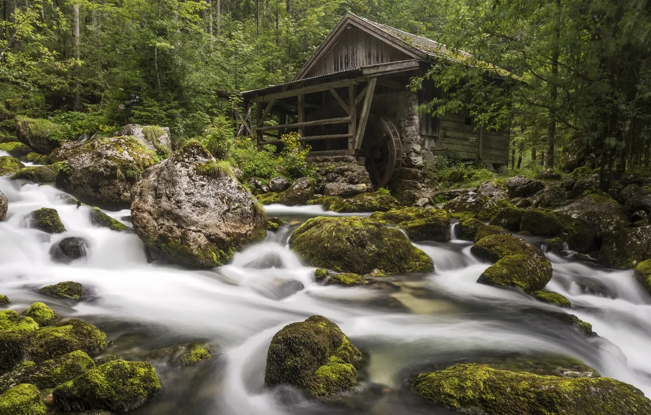 Photo wallpaper forest, river, stones, moss, Austria, mill, Austria, Gollinger Mill
