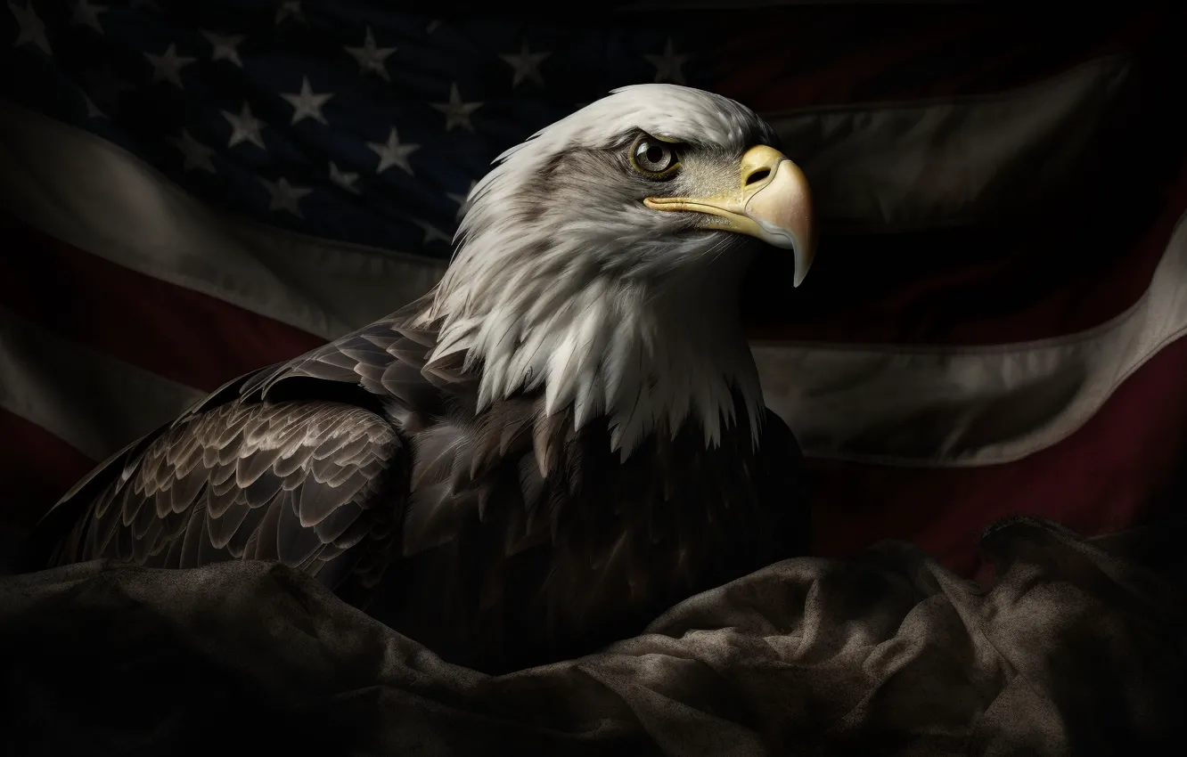 Photo wallpaper look, the dark background, bird, eagle, predator, head, beak, flag