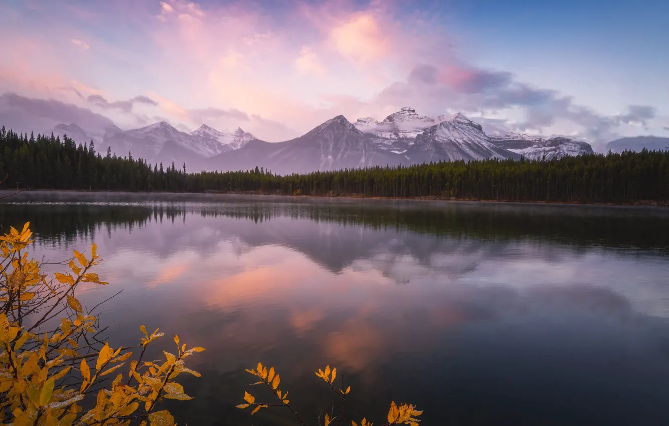 Photo wallpaper mountains, fog, reflection, foliage, pond