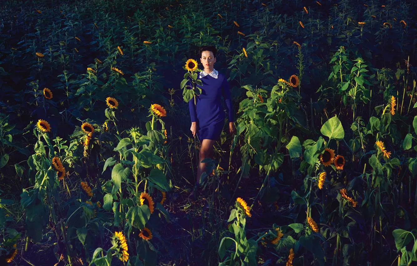 Photo wallpaper field, the sun, sunflowers, dress, Katy Perry
