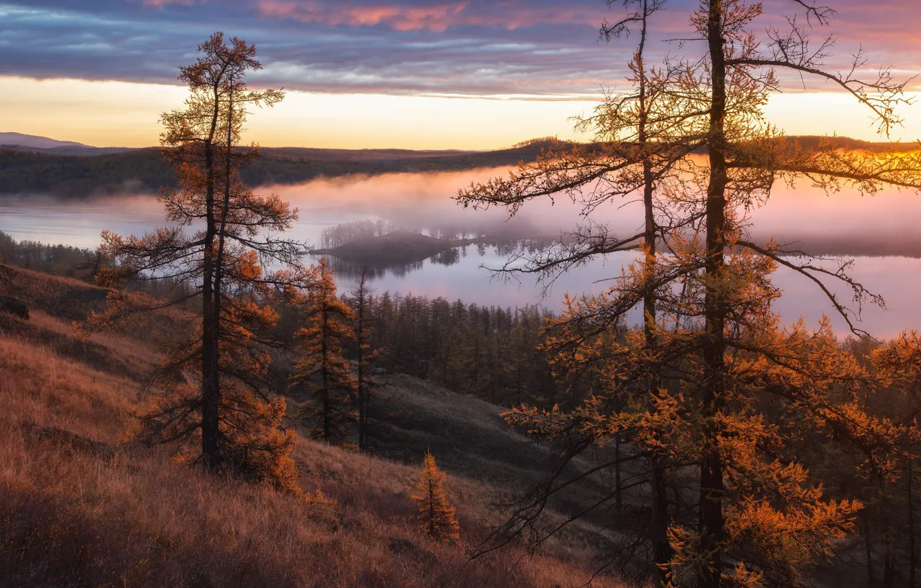 Photo wallpaper autumn, trees, landscape, nature, fog, river, morning, slope