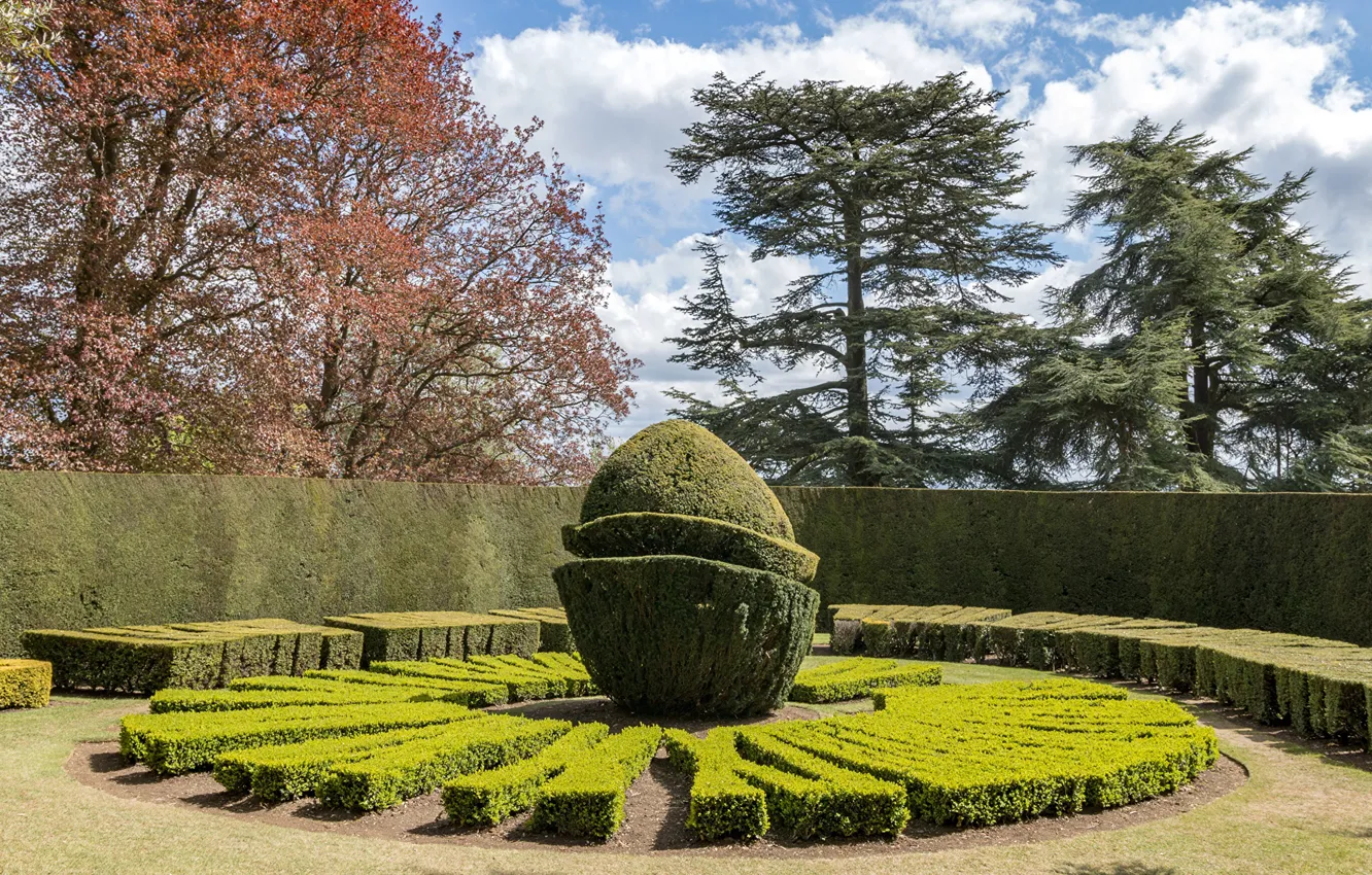 Photo wallpaper trees, Park, photo, England, Buckinghamshire, Ascott House Gardens