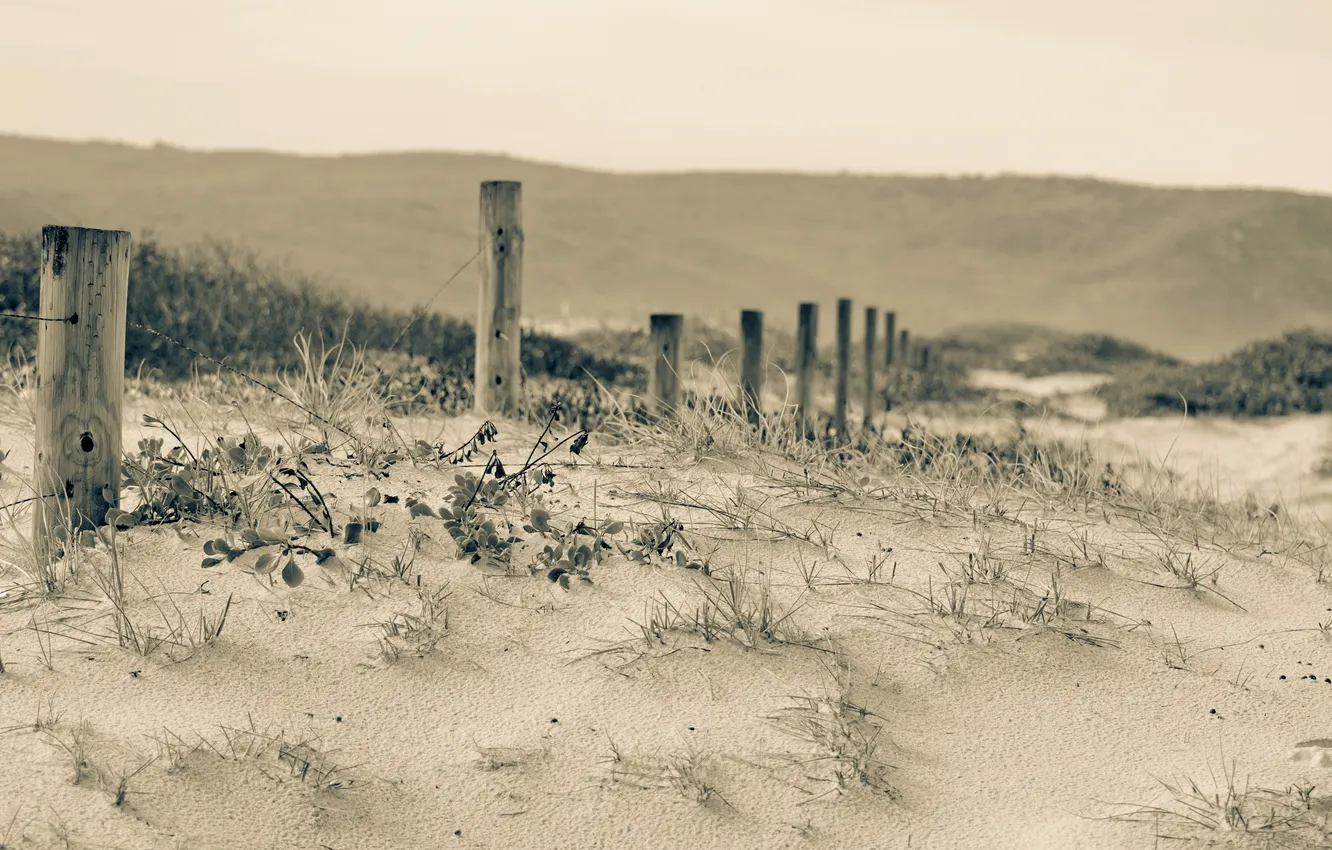 Photo wallpaper nature, the fence, dunes