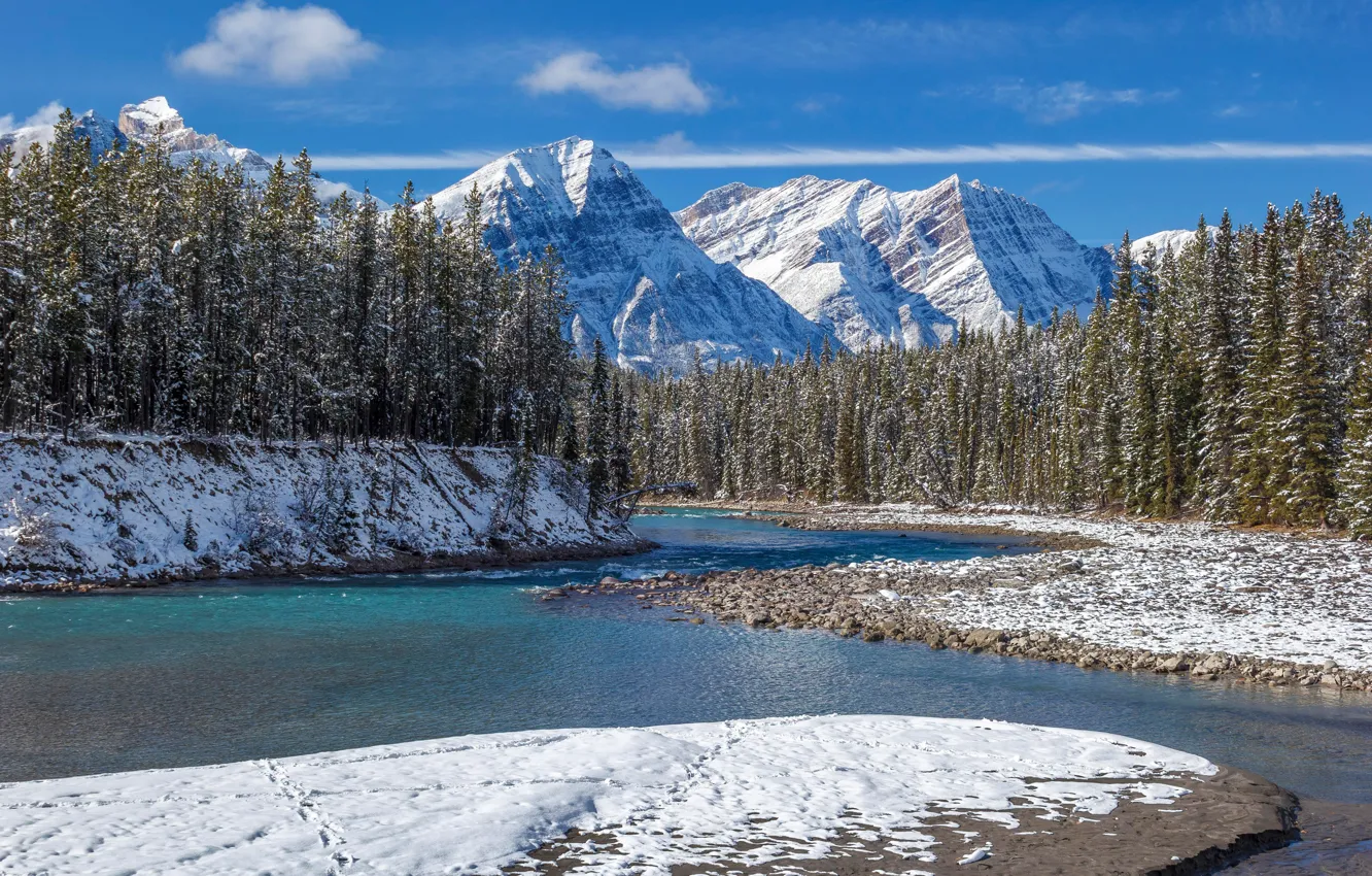 Photo wallpaper winter, forest, snow, mountains, river, Canada, Albert, Banff National Park