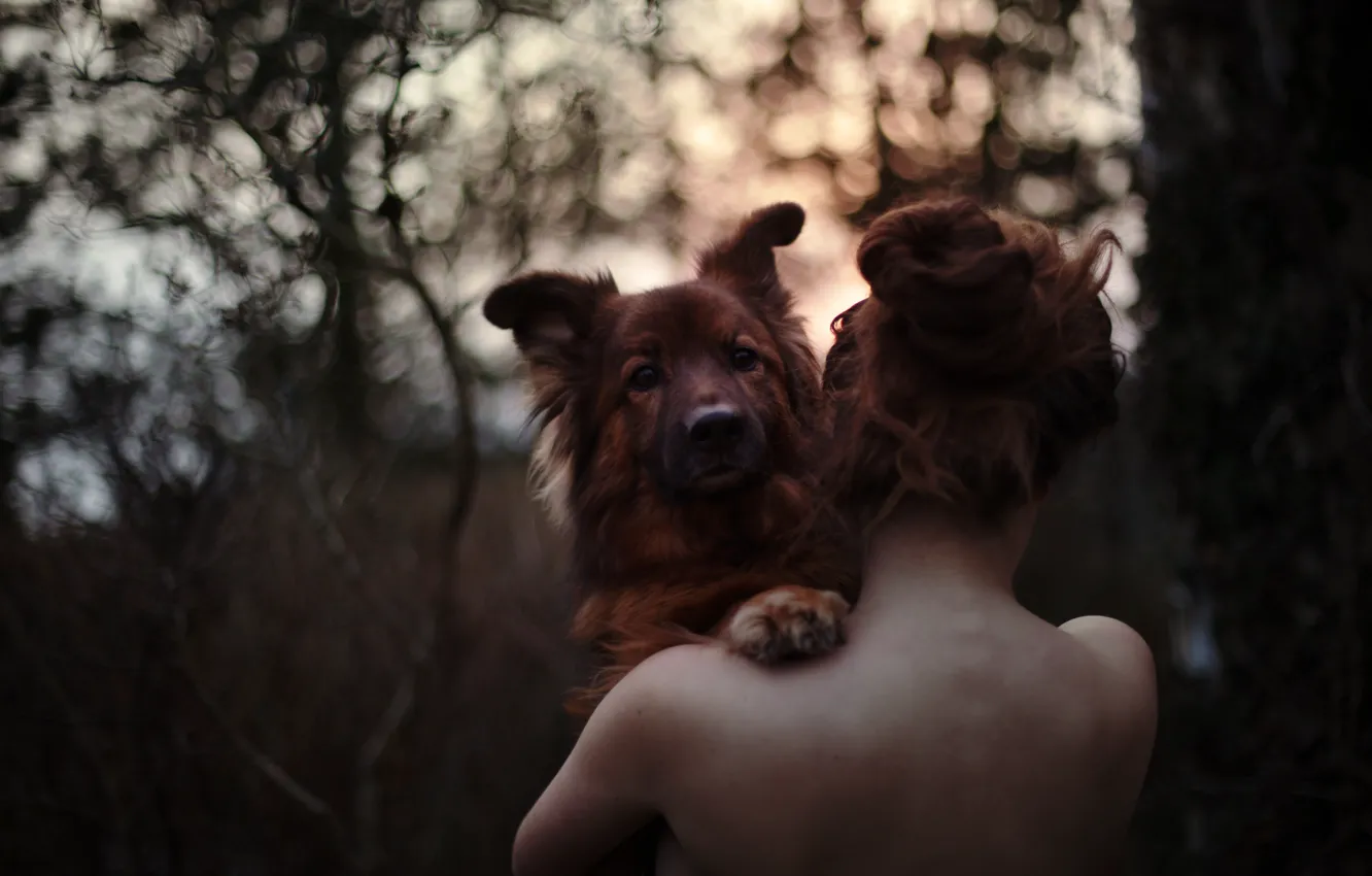 Photo wallpaper girl, love, forest, dog, sundown, bokeh, hair, back