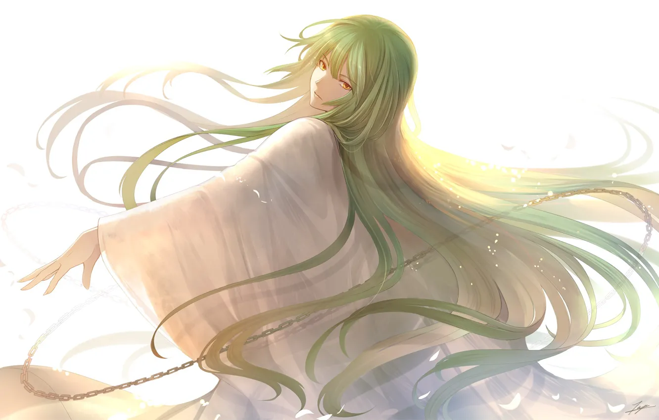 Photo wallpaper look, anime, art, Fate Stay Night, character, green hair, fate/grand order