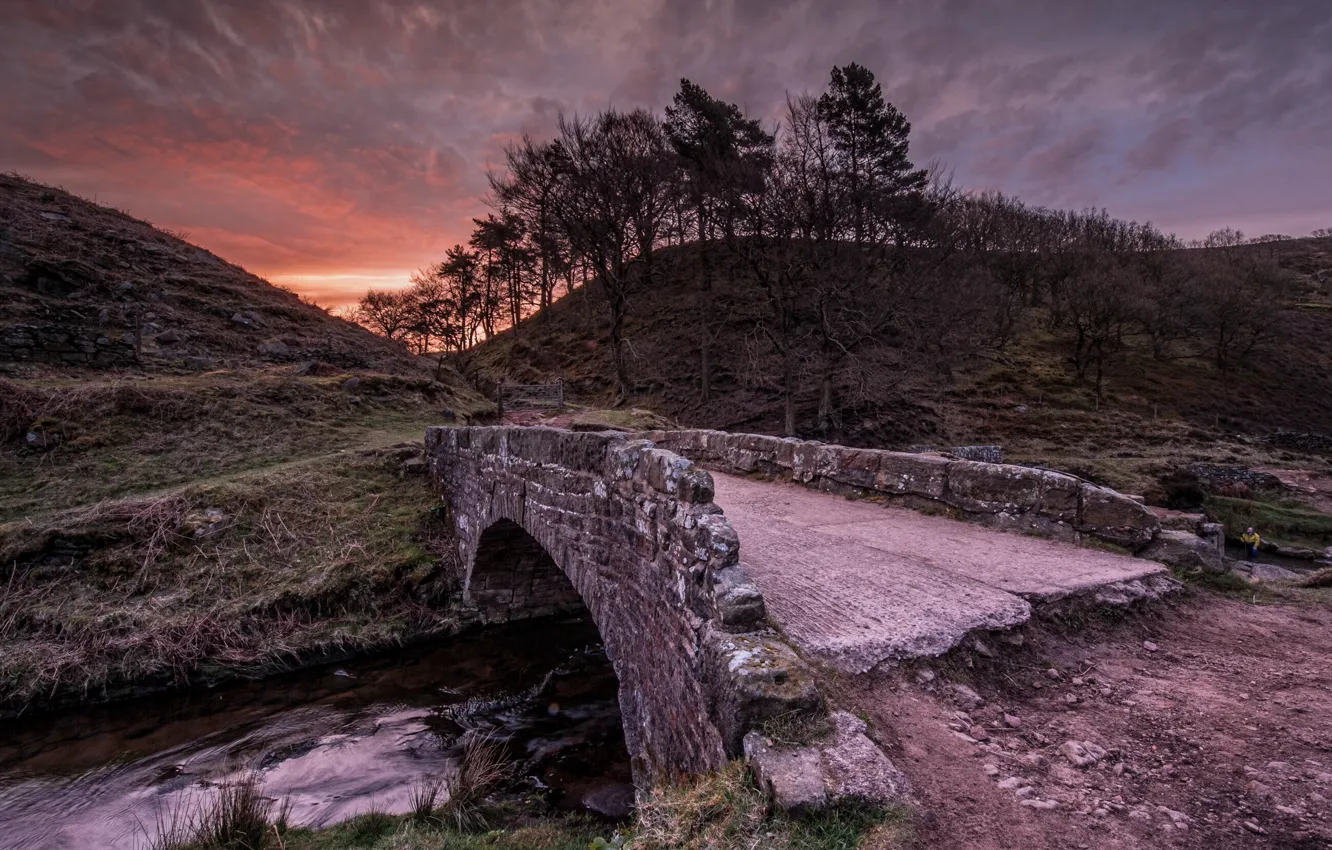Photo wallpaper landscape, night, bridge, river