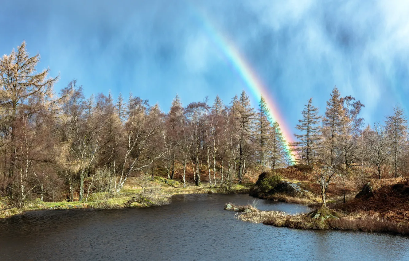 Photo wallpaper forest, lake, rainbow
