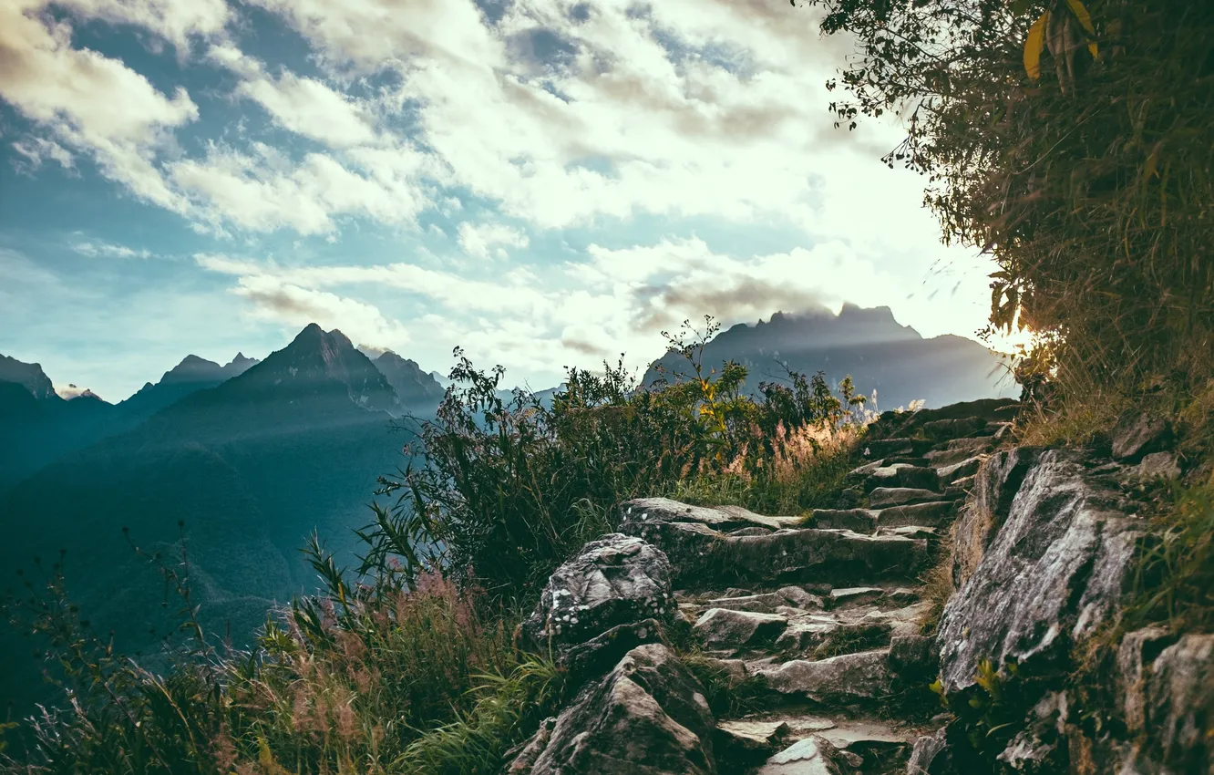 Photo wallpaper forest, the sky, clouds, trees, landscape, mountains, nature, rocks