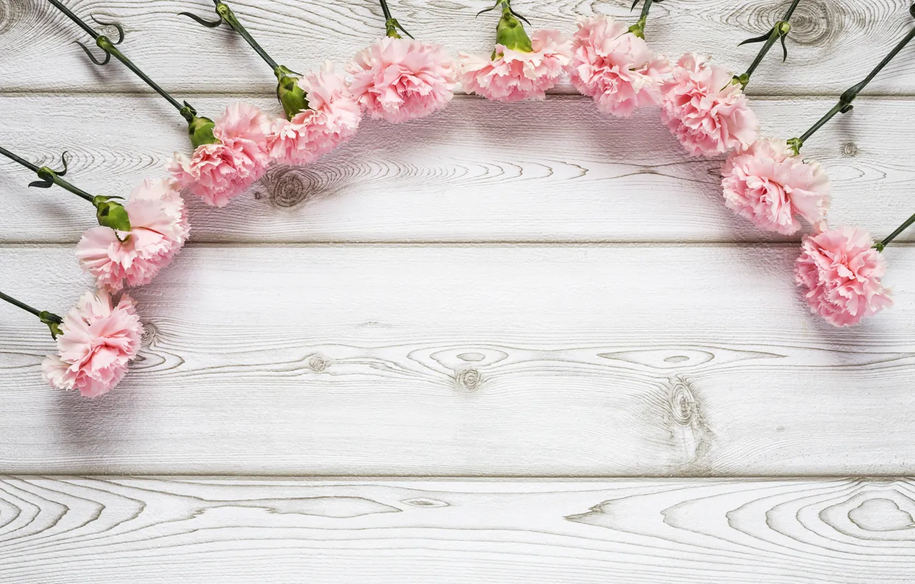 Photo wallpaper flowers, pink, wood, pink, flowers, clove