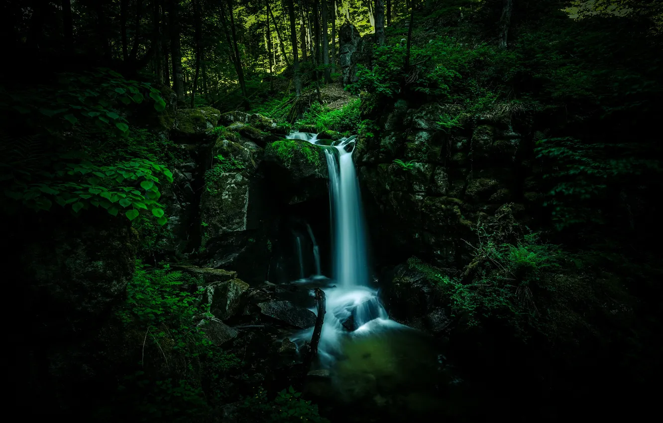 Photo wallpaper forest, the dark background, stones, waterfall