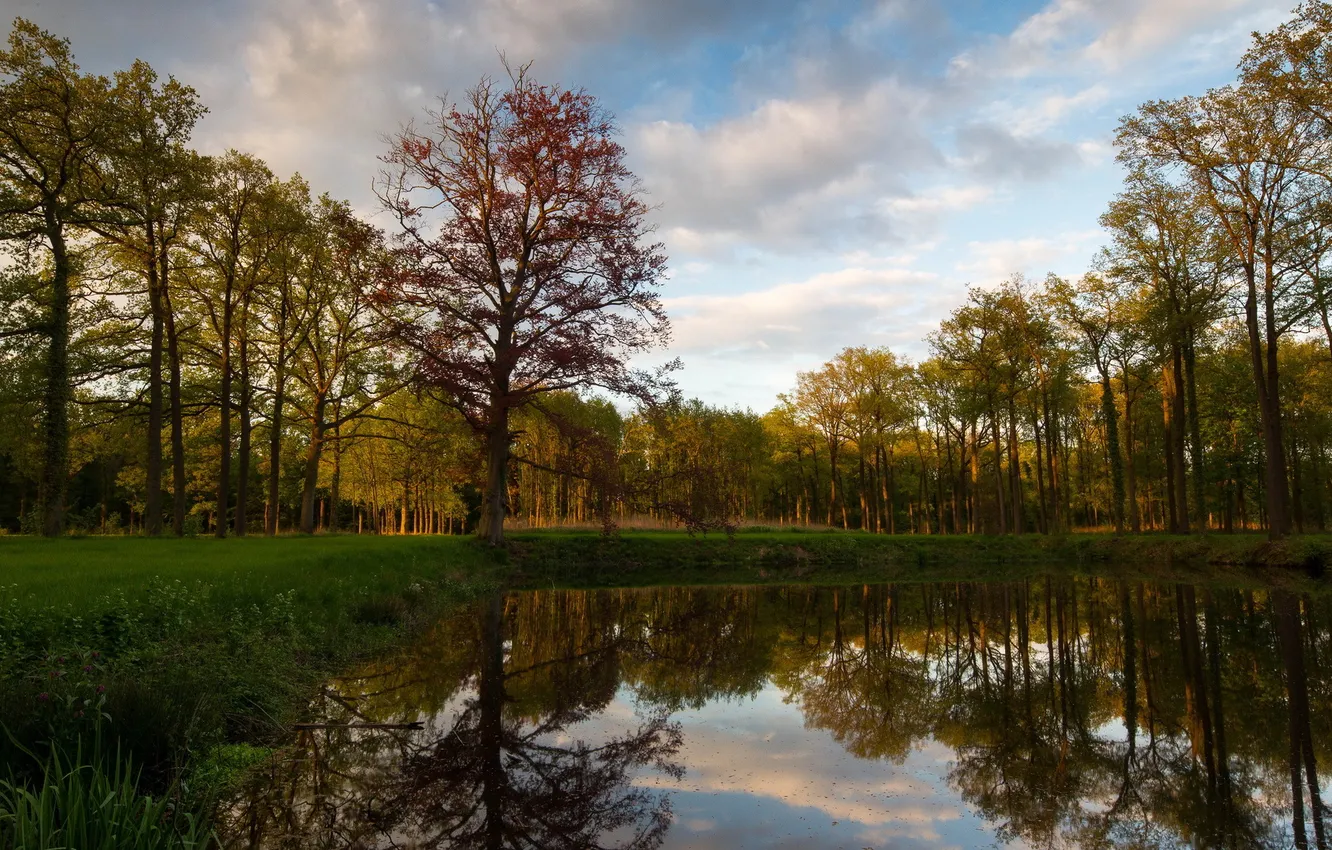 Photo wallpaper landscape, Park, Castle Pond at De Slangenburg