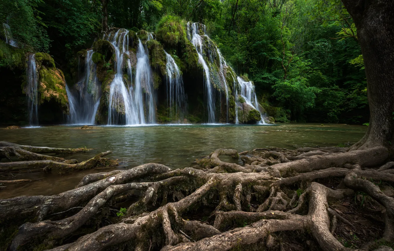 Photo wallpaper roots, river, tree, France, waterfall, cascade, France, Waterfall Tuffs