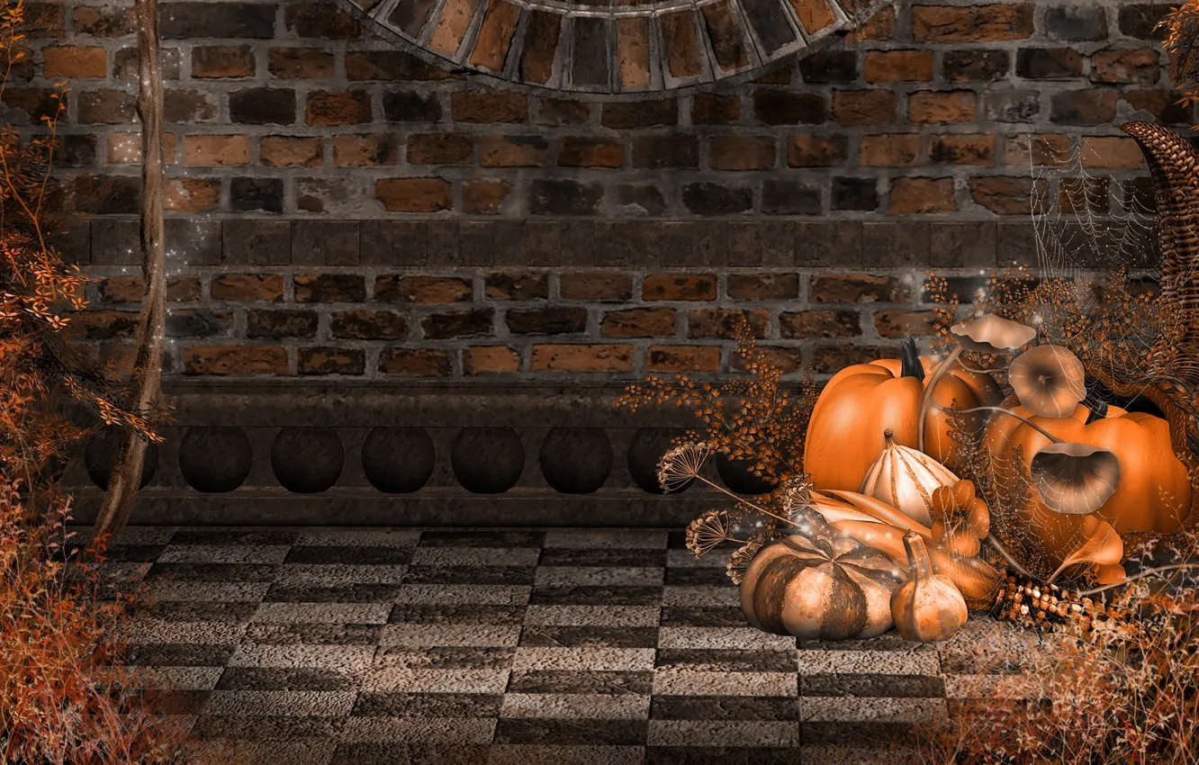 Wallpaper Autumn Wall Holiday Web Pumpkin Halloween Wall Halloween For Mobile And Desktop