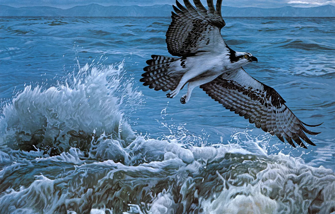 Photo wallpaper sea, wave, water, flight, squirt, storm, bird, figure