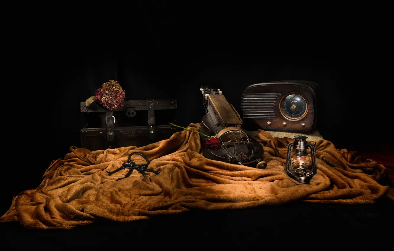 Photo wallpaper flowers, lamp, key, chest, still life, journey, musical instrument, receiver