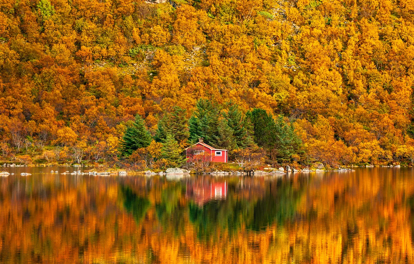 Photo wallpaper autumn, forest, nature, lake, reflection, house