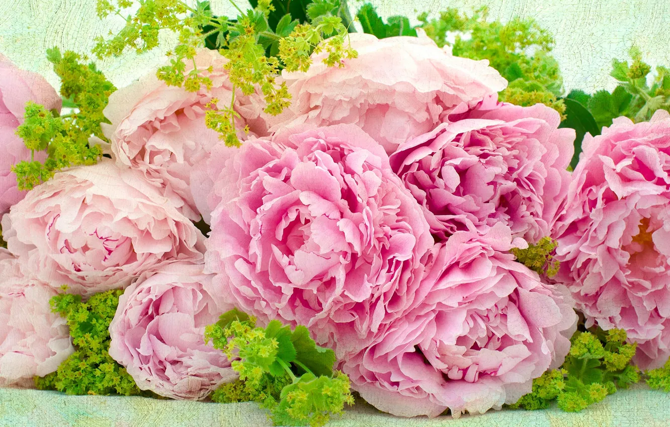 Photo wallpaper bouquet, texture, peonies