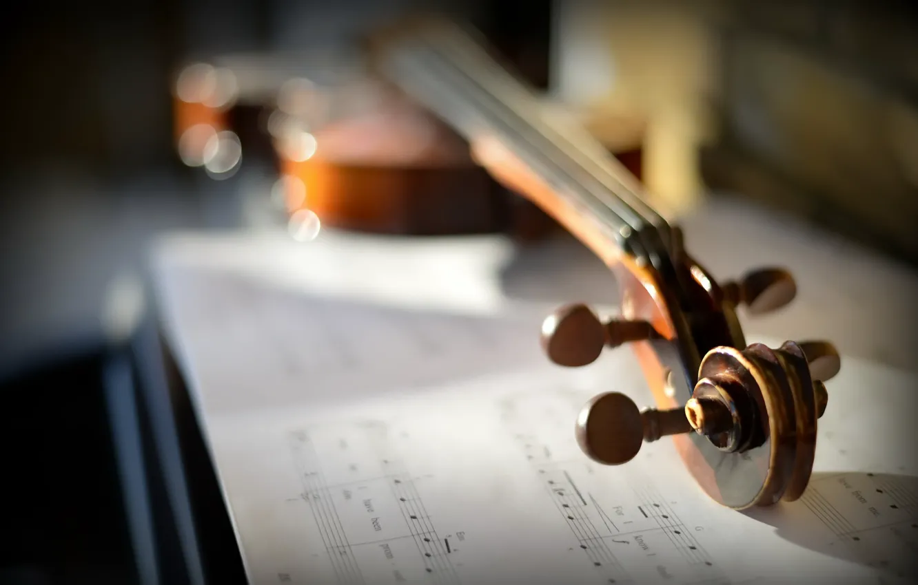 Photo wallpaper notes, music, violin