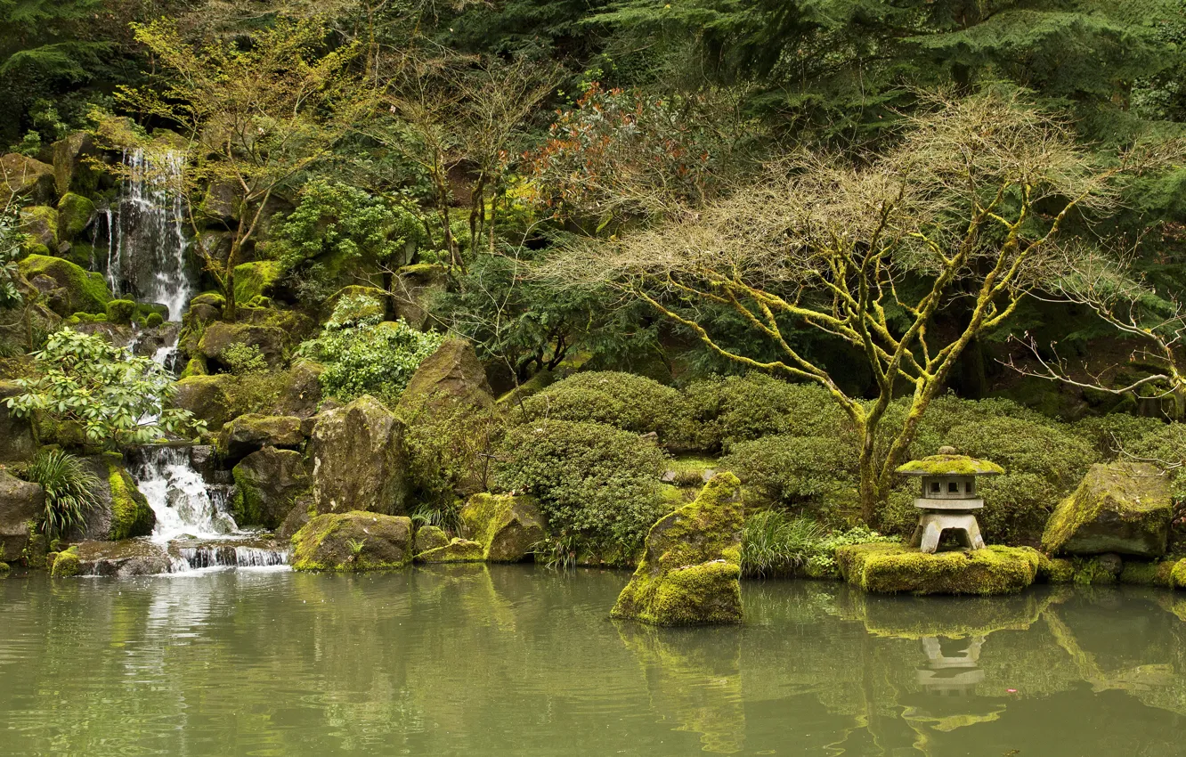 Photo wallpaper trees, pond, stones, waterfall, moss, garden, USA, the bushes