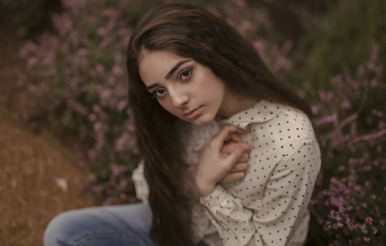 Photo wallpaper look, girl, face, background, hair