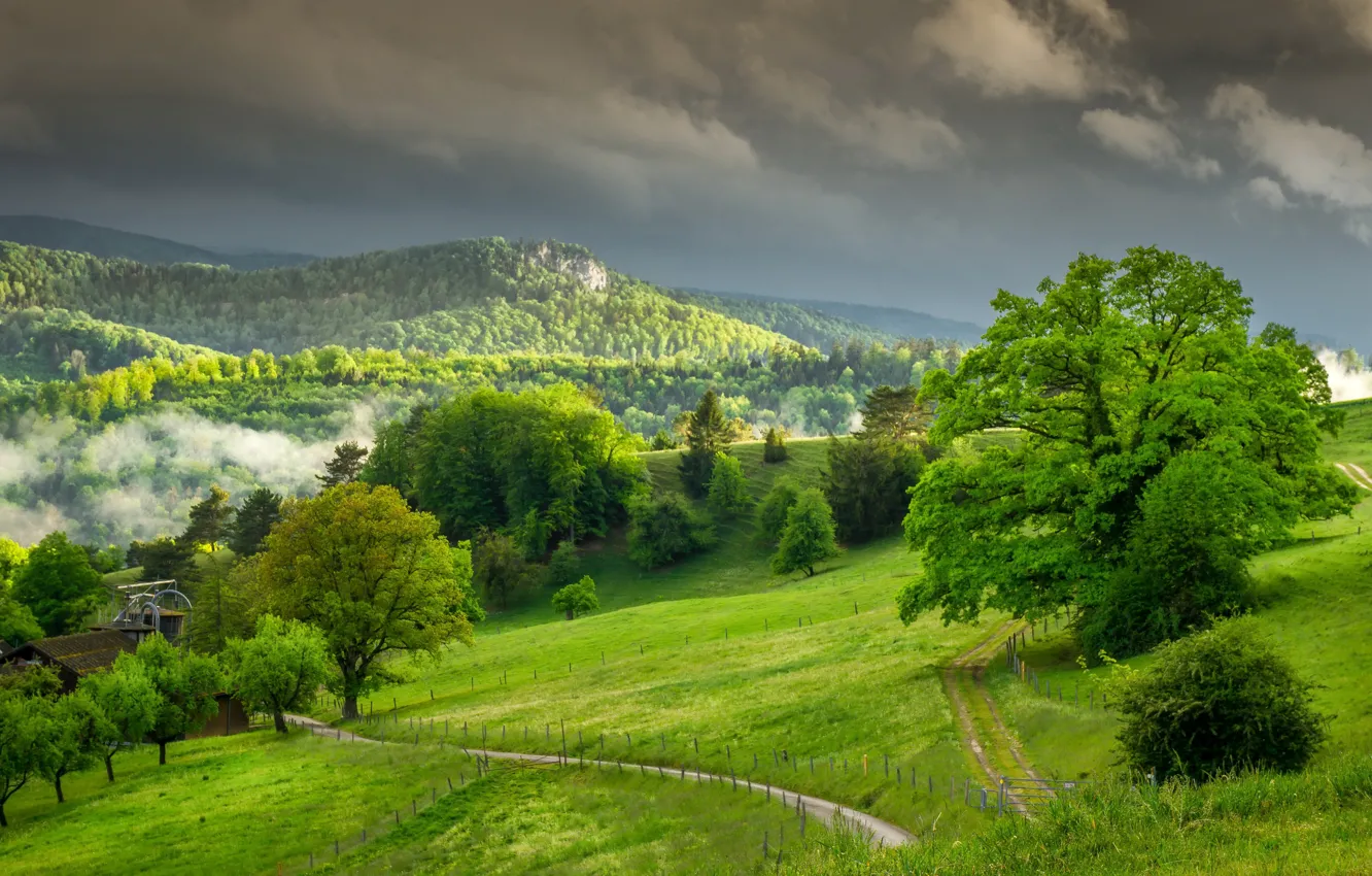 Photo wallpaper Solothurn, Kleinlützel, Huggerwald