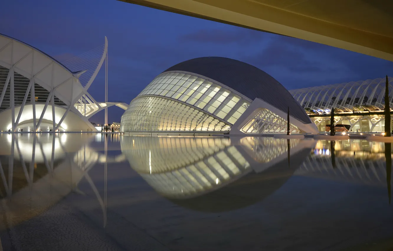Photo wallpaper the sky, trees, night, blue, lighting, Spain, Valencia, the architectural complex
