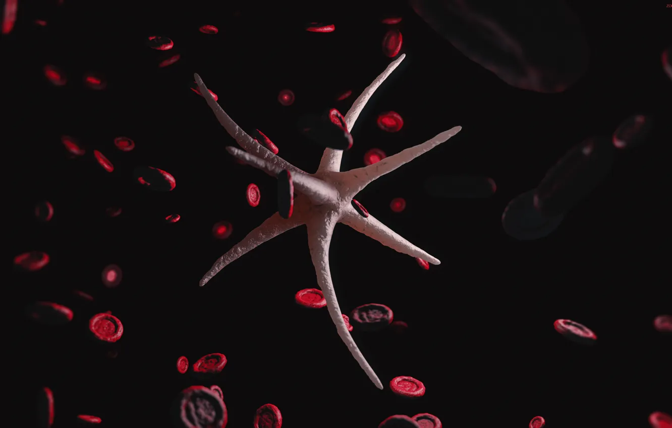 Photo wallpaper blood, virus, leukocytes